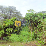 BS Property - Tanah Kavling Nauli Medan (1)