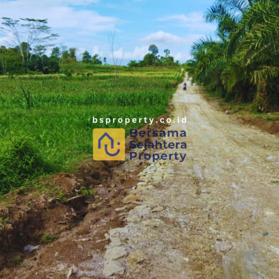 BS Property - Tanjung Pinggir (4)
